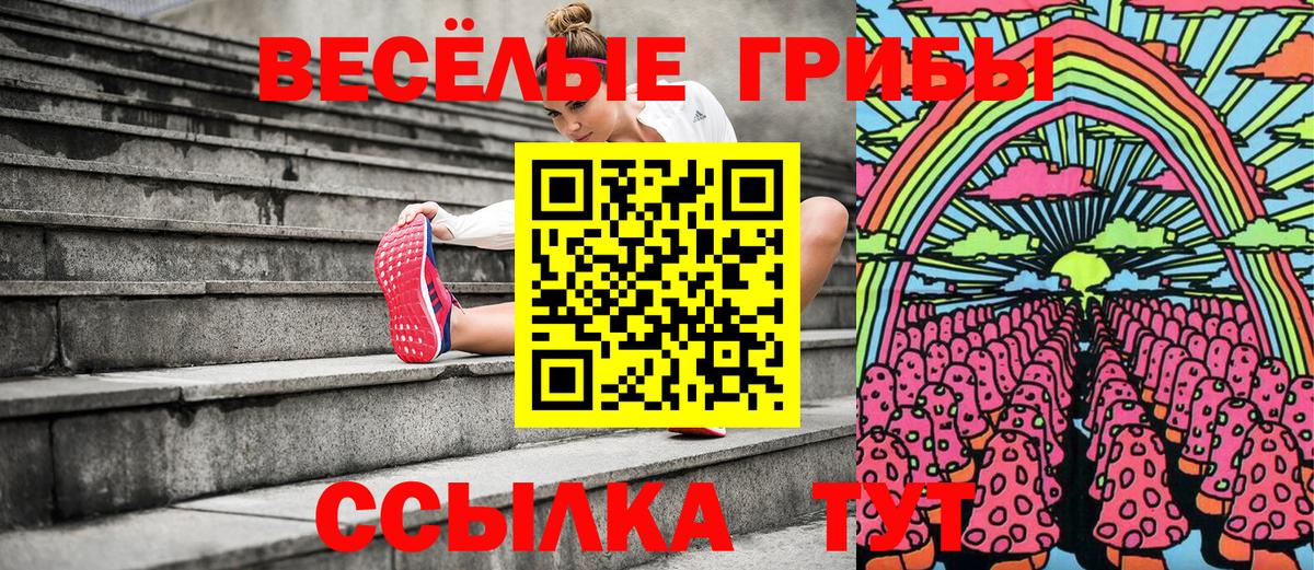 Арсеньев  Галлюциногенные грибы ЛСД  Вход с VPN 